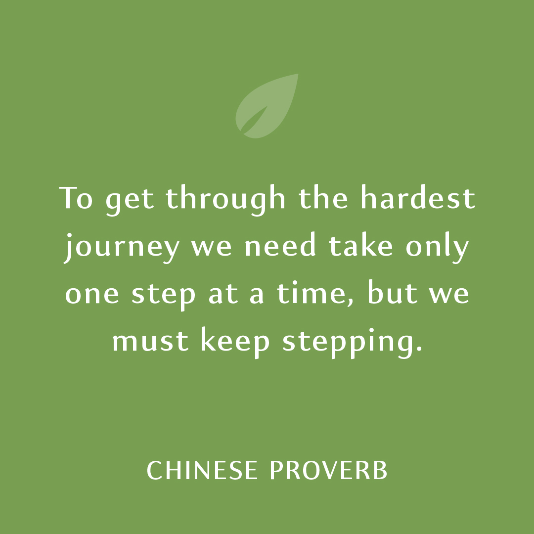 To get through the hardest journey we need take only one step at a time, but we must keep stepping.