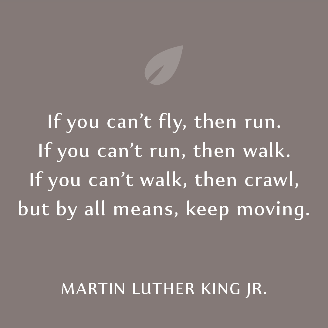 If you can't fly, then run. If you can't run, then walk.