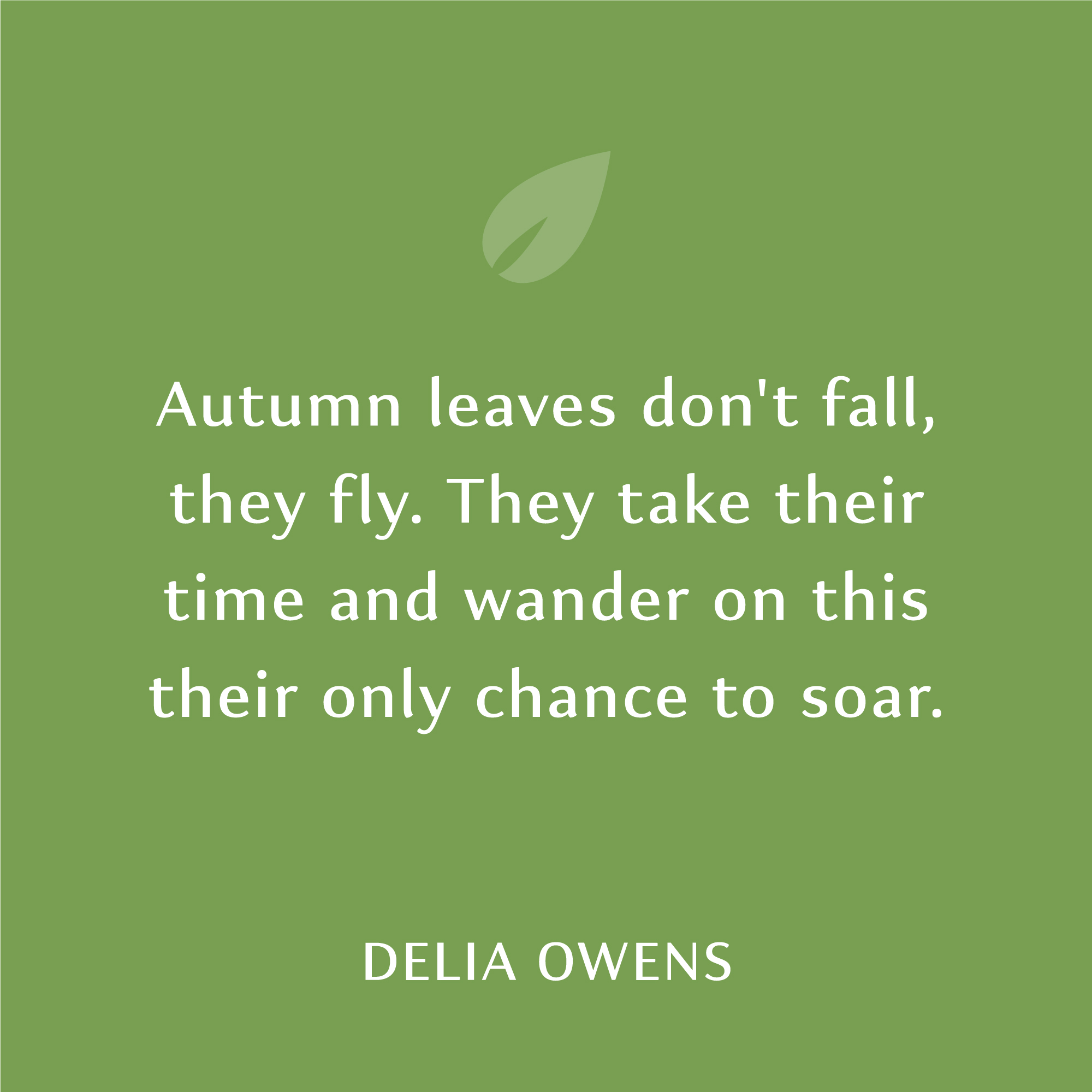 Autumn leaves don't fall, they fly